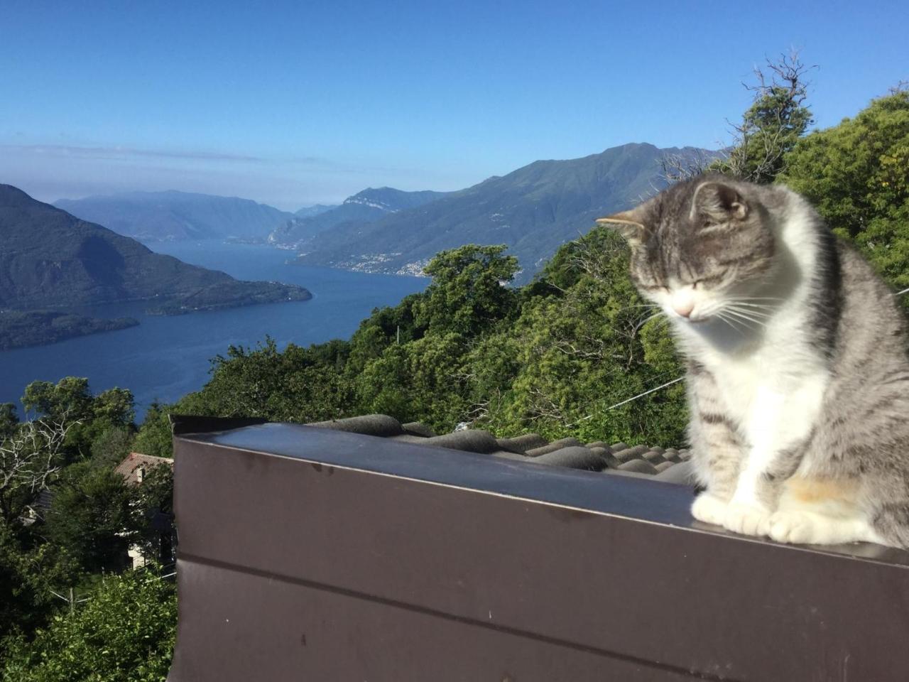 Appartamento Rifugio Dalco Sorico